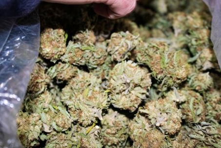 Caplan & Tamburino Law Firm, P.A. Gets Unconstitutional Drug Charges Thrown Out